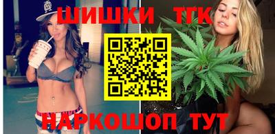 apvp Гатчина