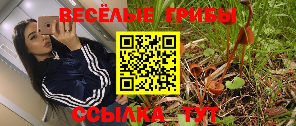 Псилоцибиновые грибы ЛСД Новоуральск