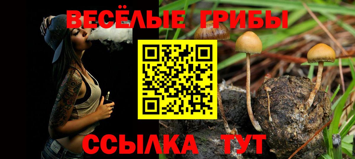 Псилоцибиновые грибы Magic Shrooms  Вход с VPN  Галлюциногенные грибы Psilocybine cubensis  Новоуральск 